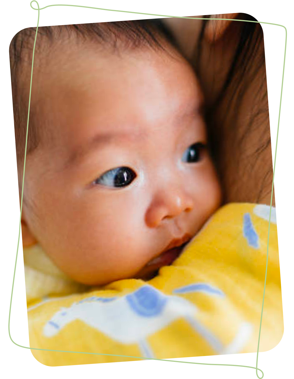 Apa Itu Responsive Feeding?