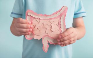 Lactobacillus reuteri: Bakteri Baik untuk Usus Si Kecil