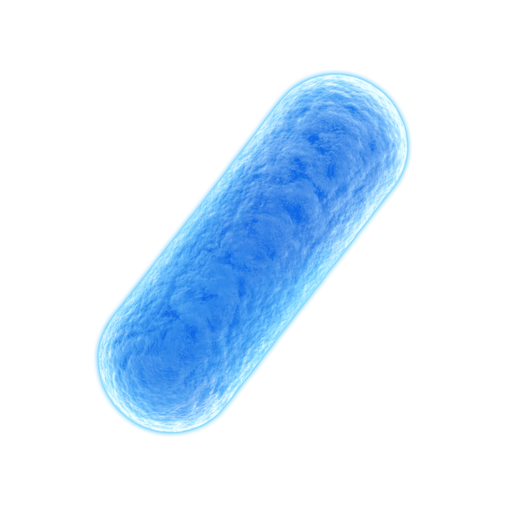 Bakteri Biru