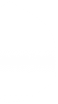 shield left