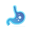 Lambung Hologram