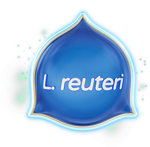 L. reuteri