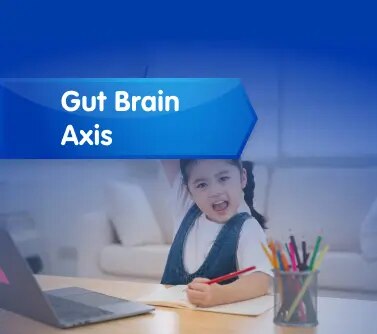 Banner Gut Brain Axis